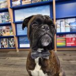 1000149825 1000149825